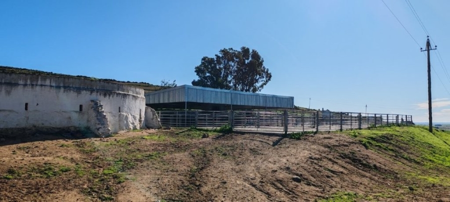 0 Bedroom Property for Sale in Darling Western Cape